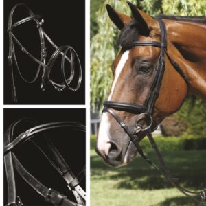 Mark Todd Performance Snaffle Bridle with Flash