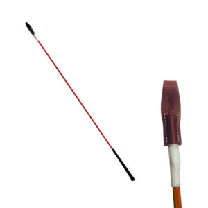 parelli carrot stick