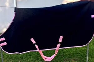 Hoofin' About Daysheet