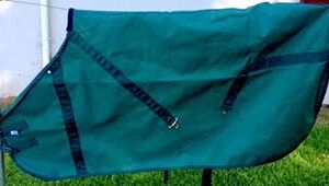 Hoofin' About Canvas Rainsheet