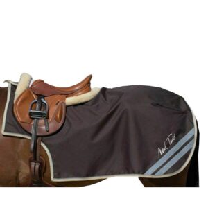 Mark Todd Quarter/Exercise sheet