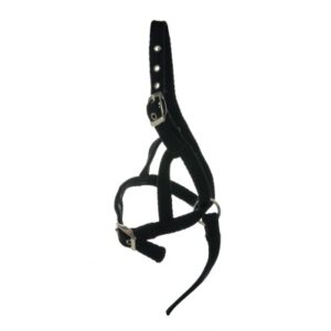 Webbing Foal Halter From