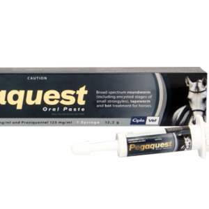 Pegaquest