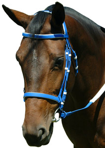 PVC Racing Bridle with reins