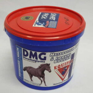 Equifox DMG Metabolism Enhancer & Immune Booster