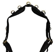 Neoprene Lunge Roller