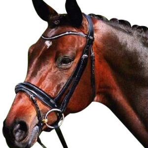 Passier Apollo Snaffle Bridle With Crank