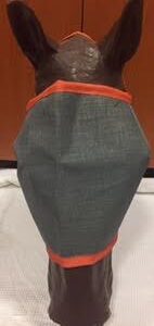 Hoofin About Fly Mask