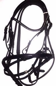 Padded Gold Buckle Bridle
