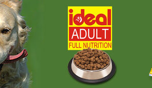 Ideal Dog Food From-