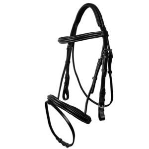 Padded Stitched Bridle