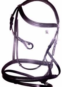 Padded Bridle