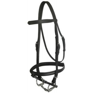 Padded Economy Bridle