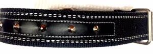 Heavy Duty Dog Collar with Studs