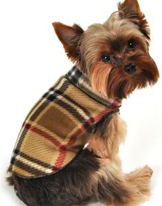 Pull on Dog Jersey FROM