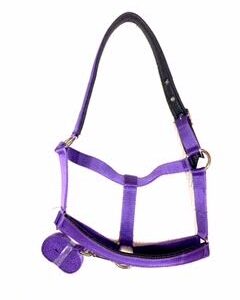 Equistride Padded Halter