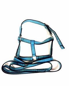 Equistride Two Toned Halter