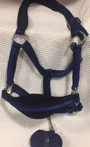 Equistride Icon Halter & Lead