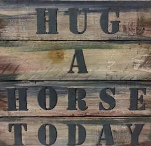 Hug a Horse Today Plaque