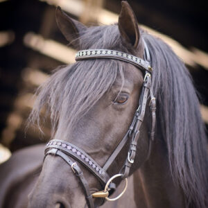 Floral bling leather bridle