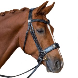 Fairfax cavesson snaffle bridle