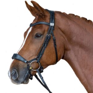 Fairfax Dropped snaffle bridle