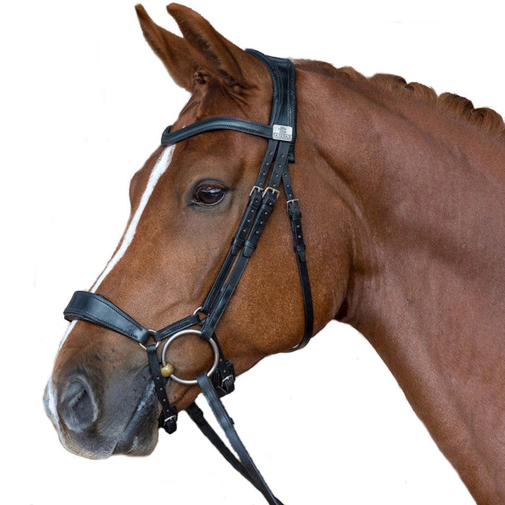 Fairfax Dropped snaffle bridle