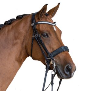 Fairfax cavesson snaffle bridle with Swarovski