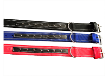 Nylon Studded Collars