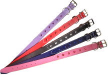 Collars with gem detail