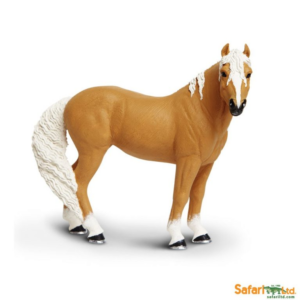 Palomino Mustang Mare