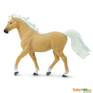 Palomino Mustang Stallion