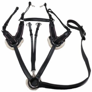 Five Point Breastplate