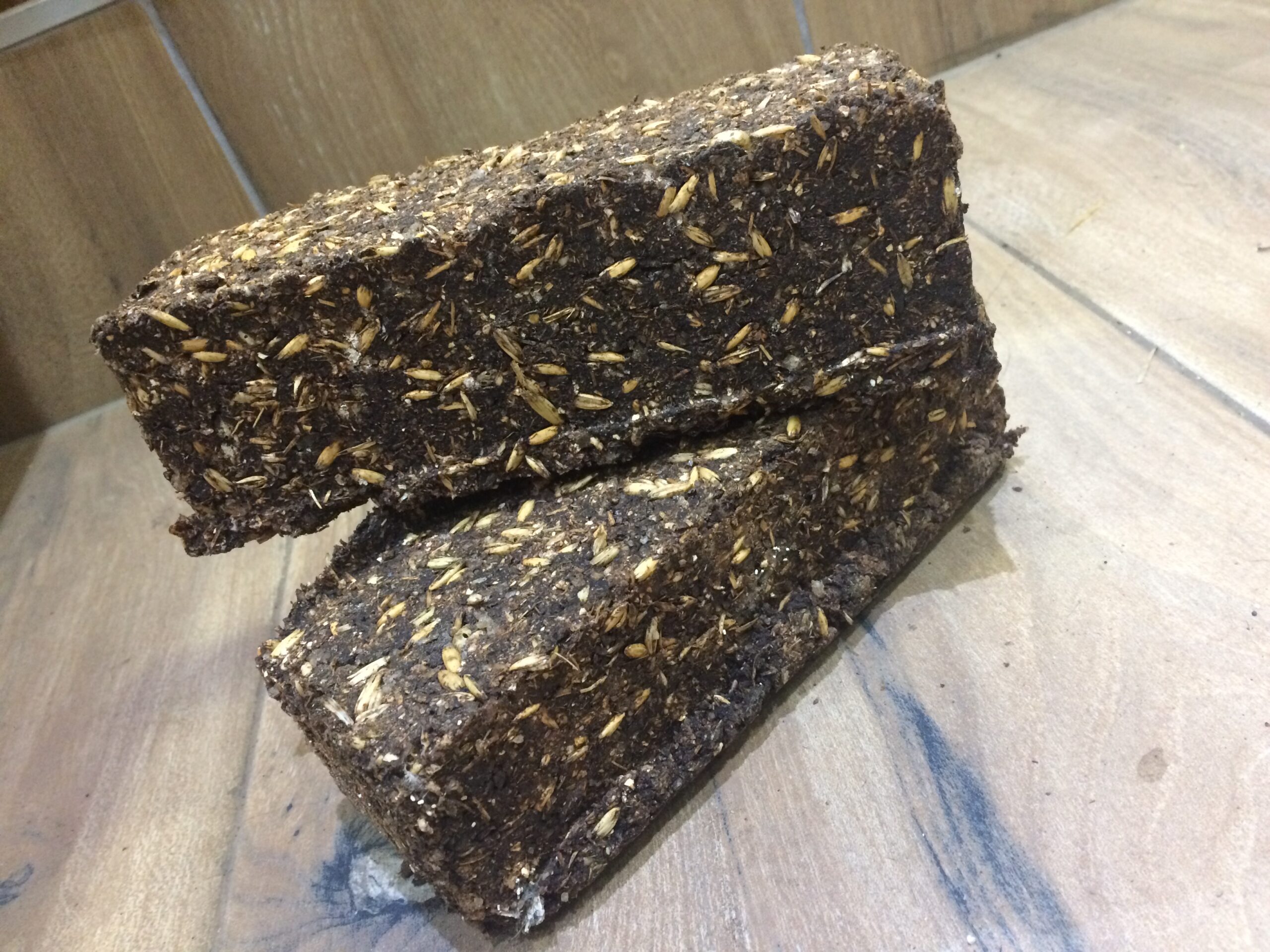 Molasses Blocks