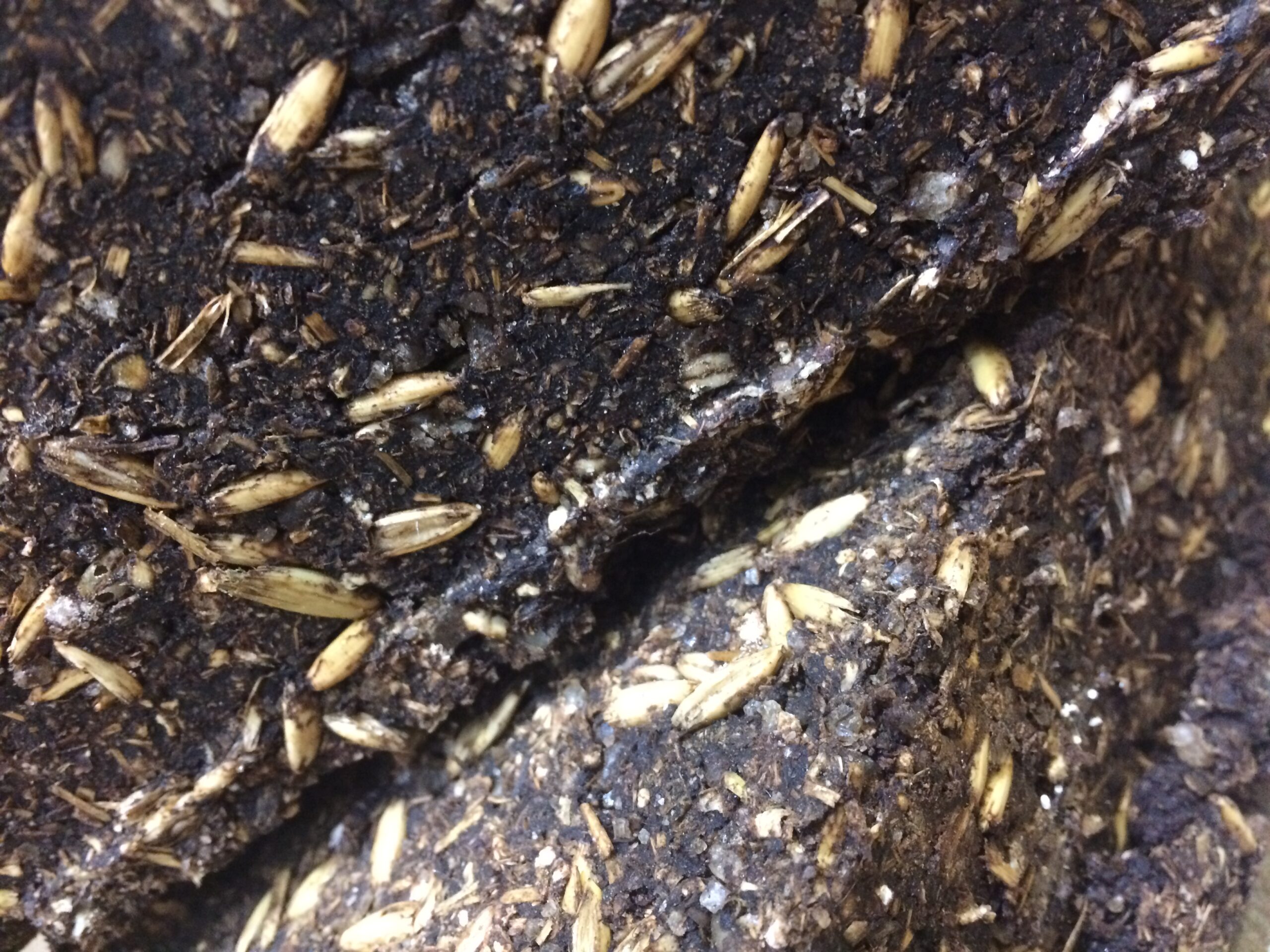 Molasses Blocks - Image 2
