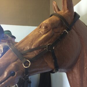 Biothane Side-pull Bitless Bridle