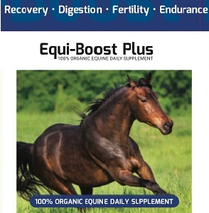 Equi-Boost Plus