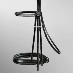 Fortuna Double Bridle
