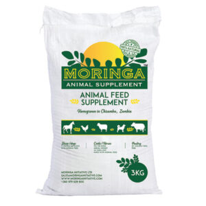 Moringa animal feed Supplement