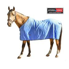 Hydro Cool blanket