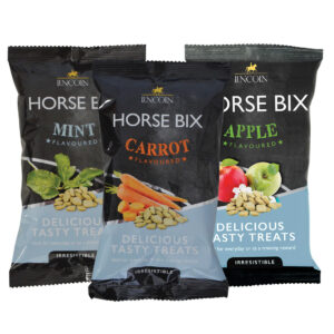 lincoln horse bix/treats