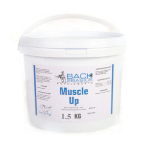 Back 2 Basics Muscle Up