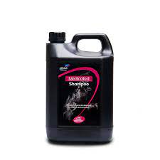 Lillidale Medicated Shampoo 4L