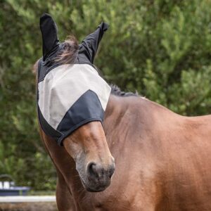 BSE mesh flymask
