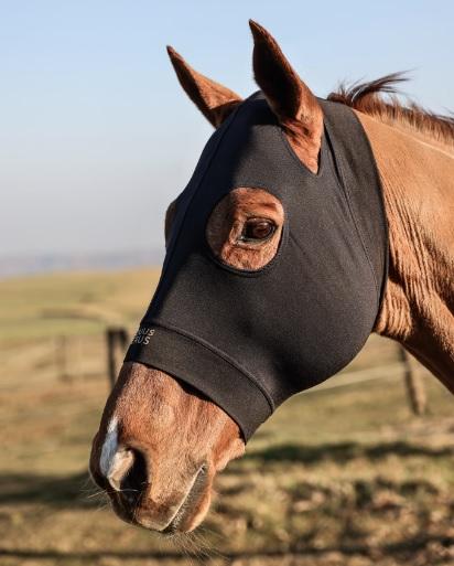 Equus Ferus Copression hood with ears