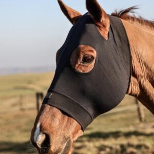 Equus Ferus compression hood