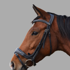 Indiana Anatomical Padded Relief Bridle with Rubber Reins