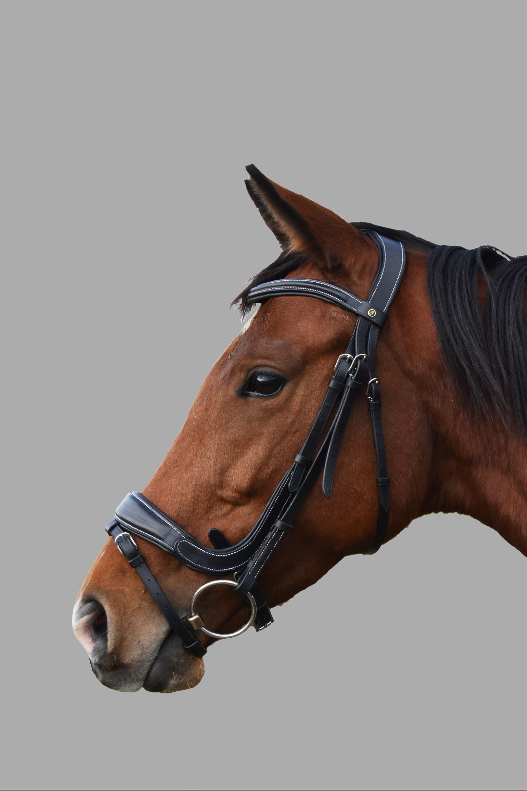 Indiana Anatomical Padded Relief Bridle with Rubber Reins
