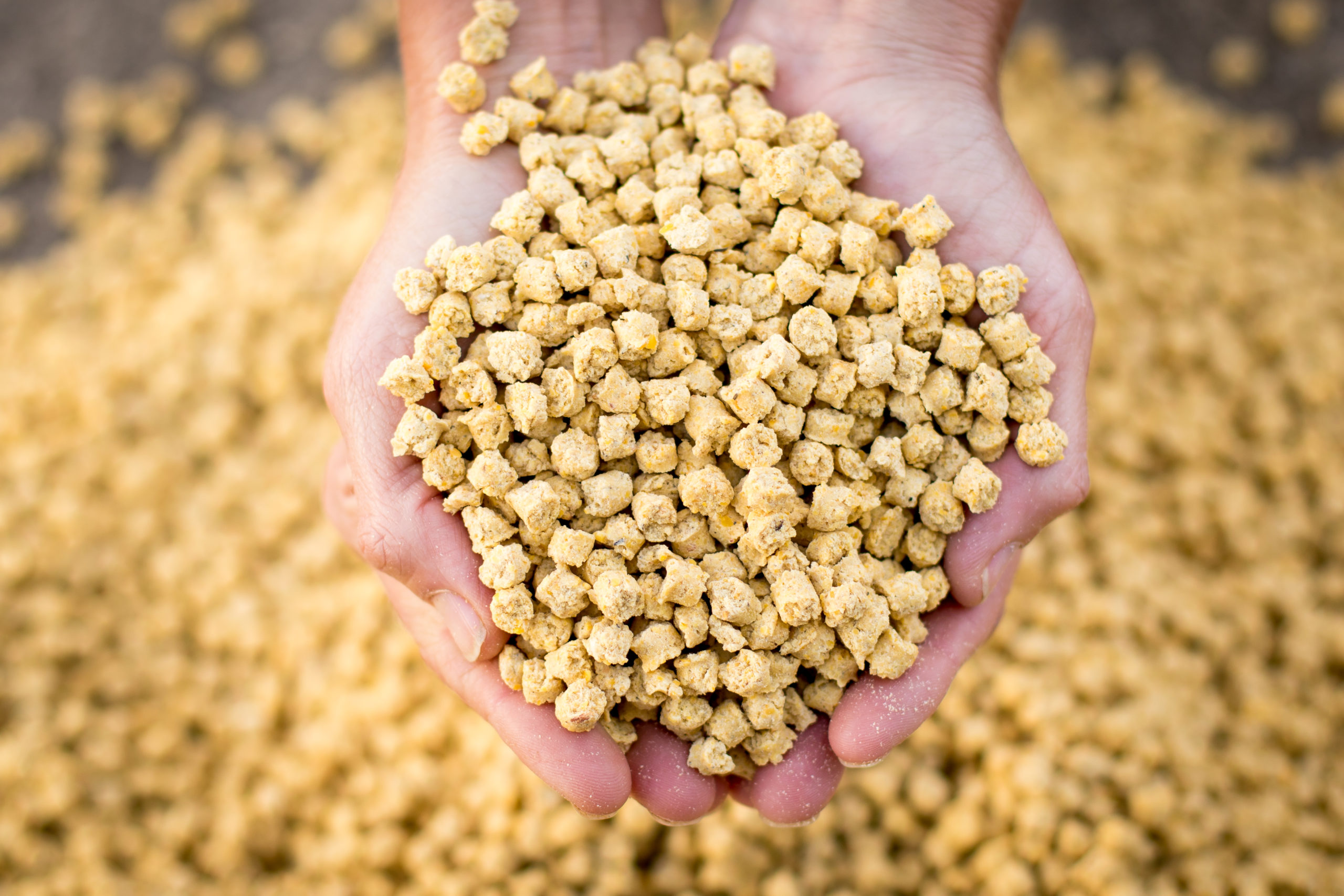 Spurwing Energy Supplement 10kg