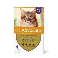 Advocate for cats 4kg and over